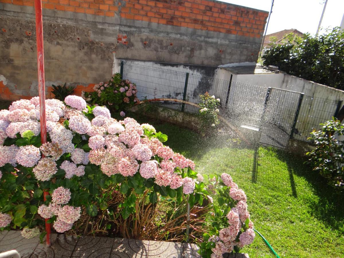 Gafanha da Nazaré Ribeiro'S Houseヴィラ エクステリア 写真