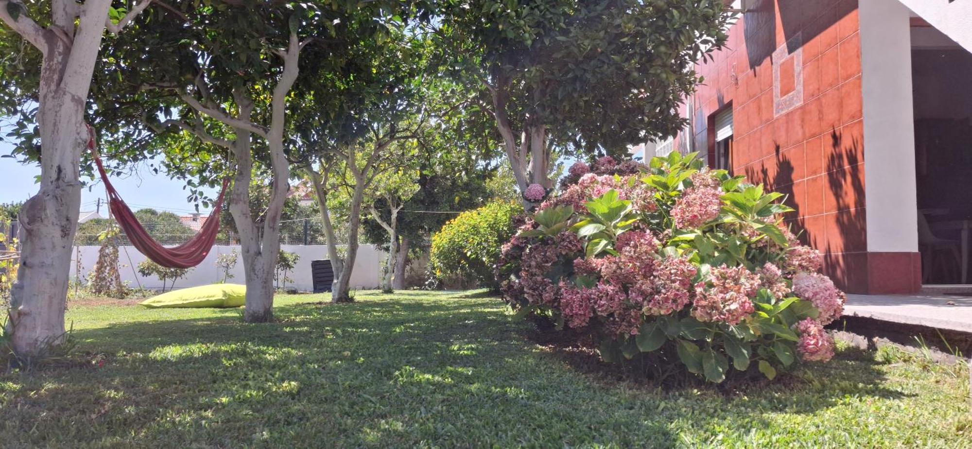 Gafanha da Nazaré Ribeiro'S Houseヴィラ エクステリア 写真